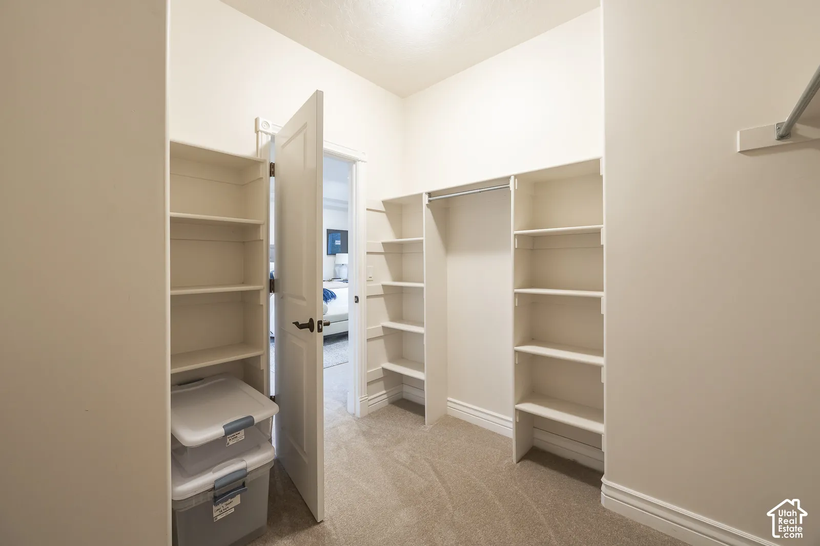 Built-in shelving, carpet flooring, and a clothing rod