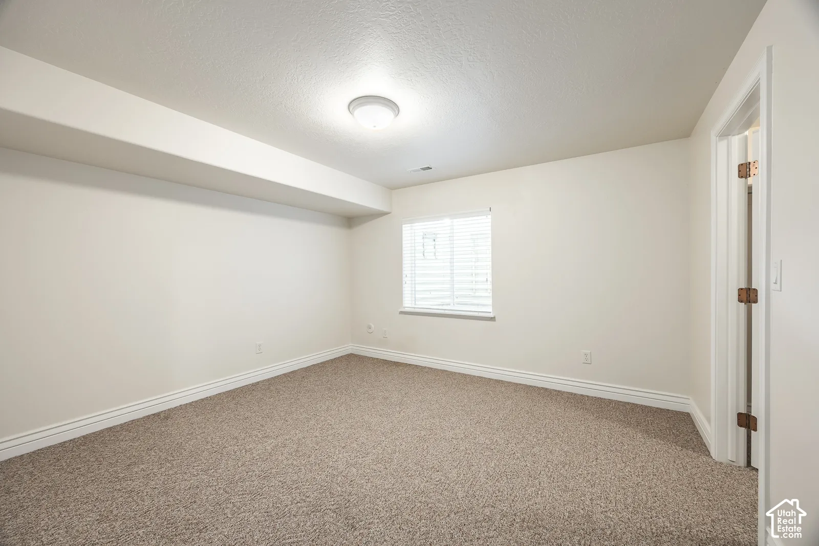 Carpeted room with a ceiling-mounted light fixture, a window with blinds, and a white interior door
