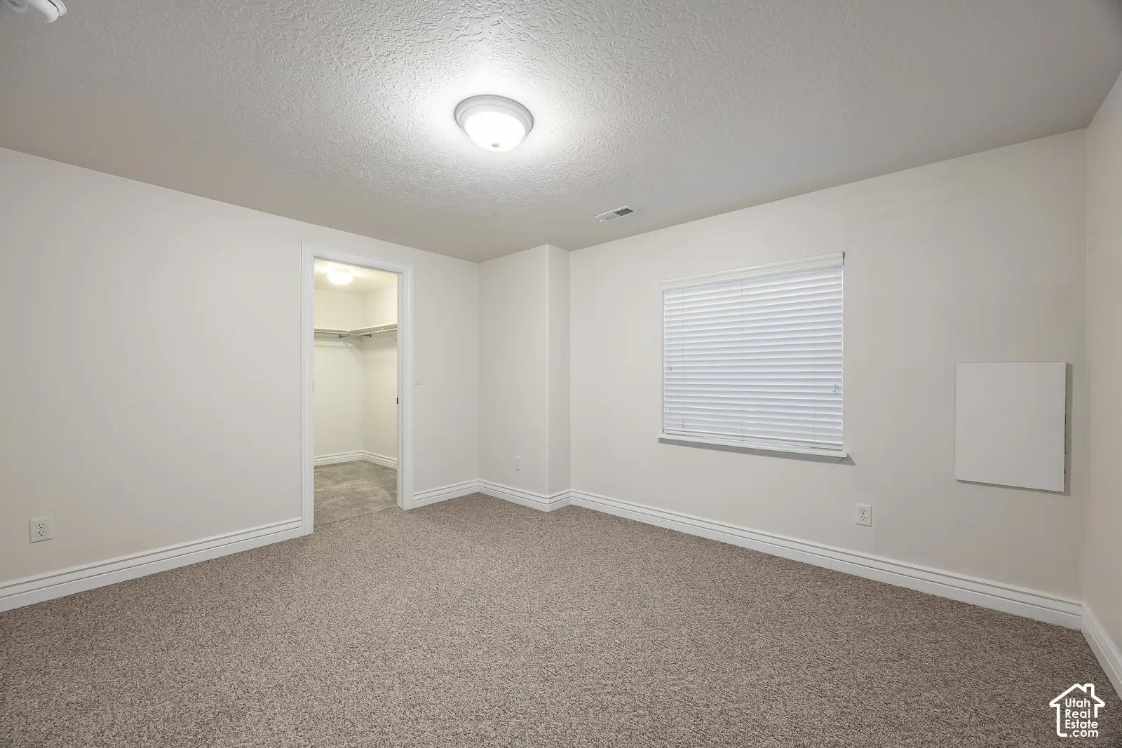Carpeted room with a walk-in closet, overhead lighting, and window with blinds