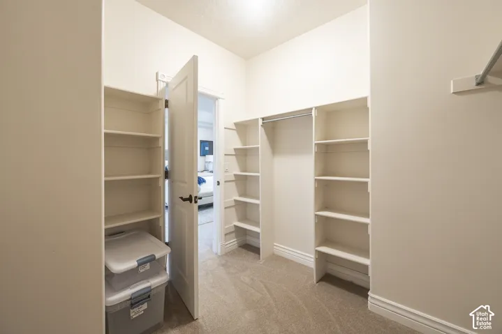 Built-in shelving, carpet flooring, and a clothing rod