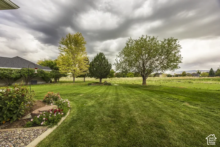 Expansive green lawn with mature trees and established landscaping featuring decorative rock and flowering plants