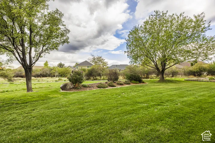 Expansive grassy area with mature trees and landscaped planting beds