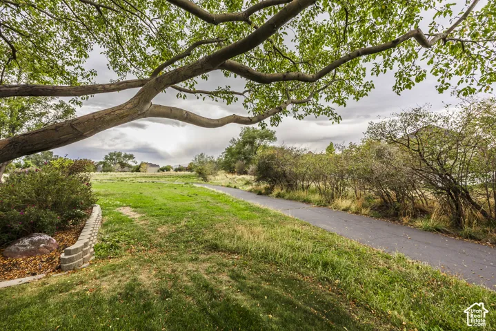 Expansive grassy area featuring a paved pathway, mature trees, and natural landscaping