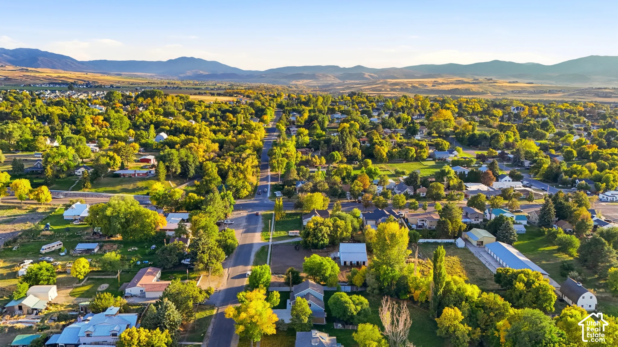 Expansive residential area featuring numerous mature trees, a clear sky, and distant mountain ranges