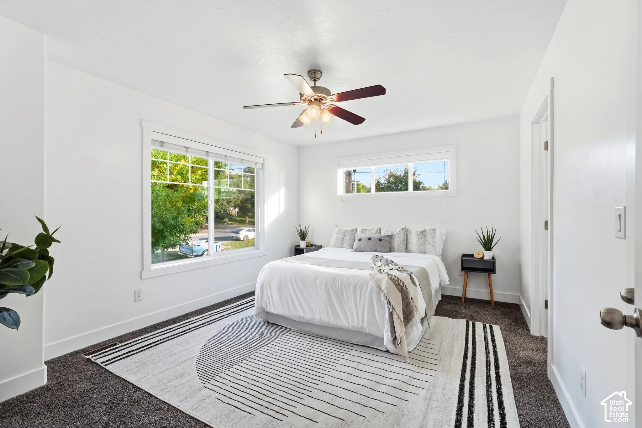 White walls, dark carpet, and a ceiling fan with integrated lighting