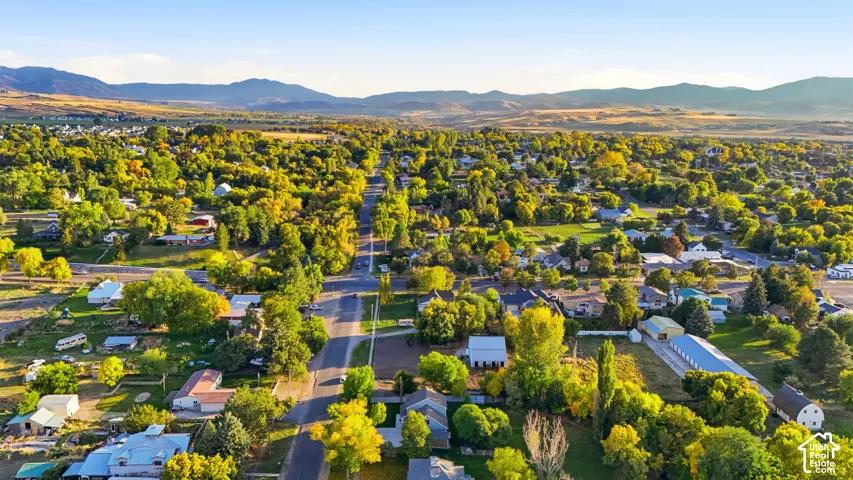Expansive residential area featuring numerous mature trees, a clear sky, and distant mountain ranges