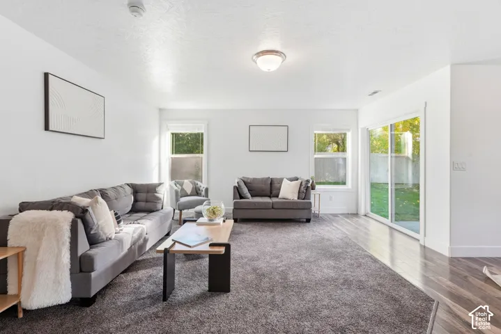 Neutral white wall paint, flush mount ceiling lighting, a sliding glass door, a window with white trim, and wood-finish flooring