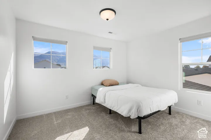 Neutral wall paint with carpet flooring, dual windows, and a flush mount ceiling light fixture