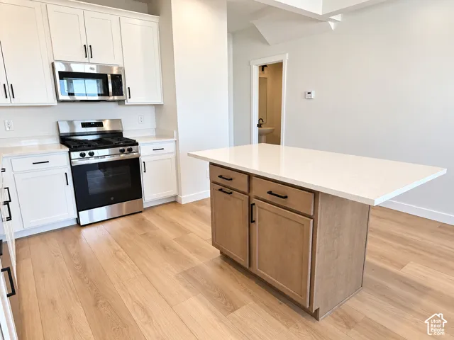 Stainless steel appliances and gas range