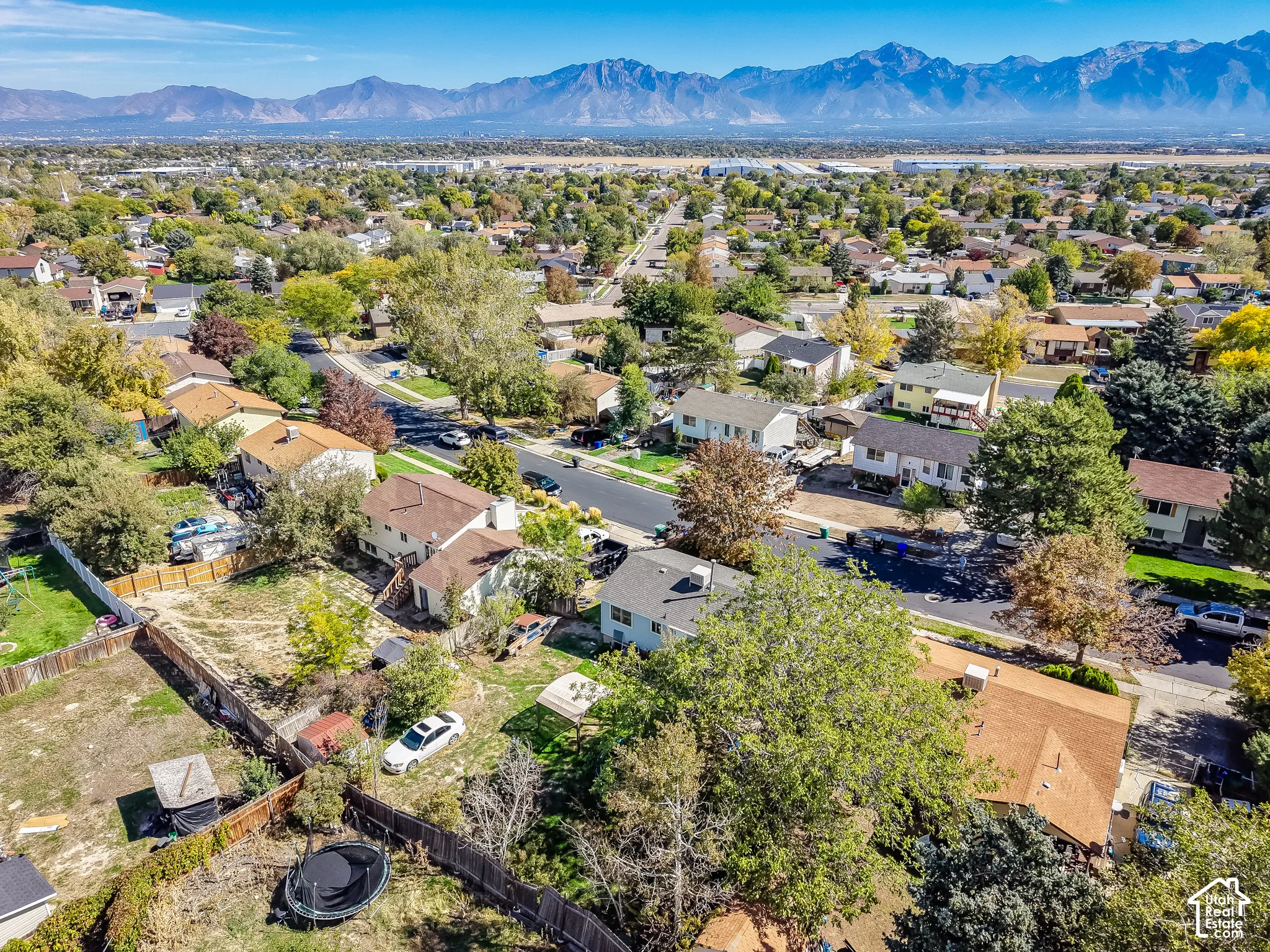 Residential neighborhood with varied mature landscaping and distant mountain range