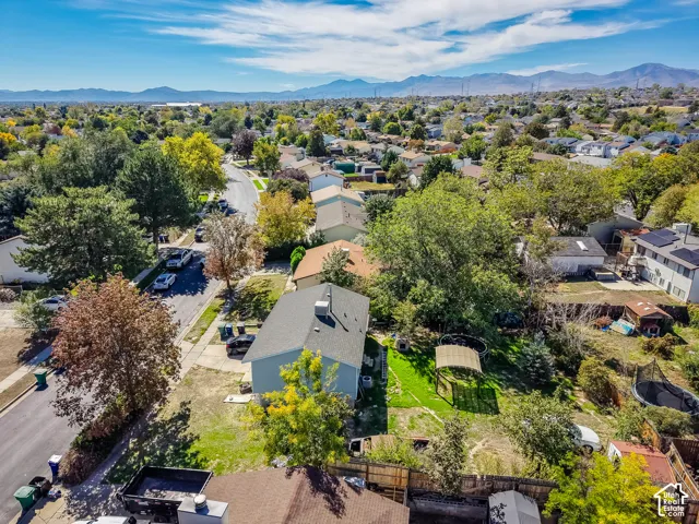 Expansive neighborhood with established trees and visible mountain range