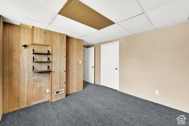 Wall-to-wall carpeting with light wood-finish paneling and built-in shelving