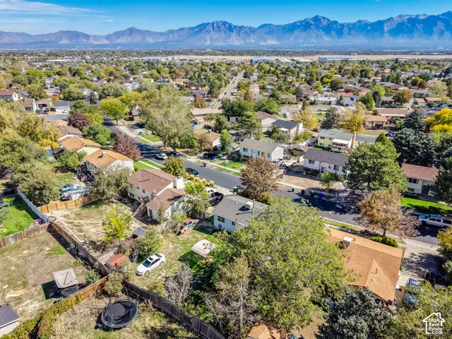 Residential neighborhood with varied mature landscaping and distant mountain range