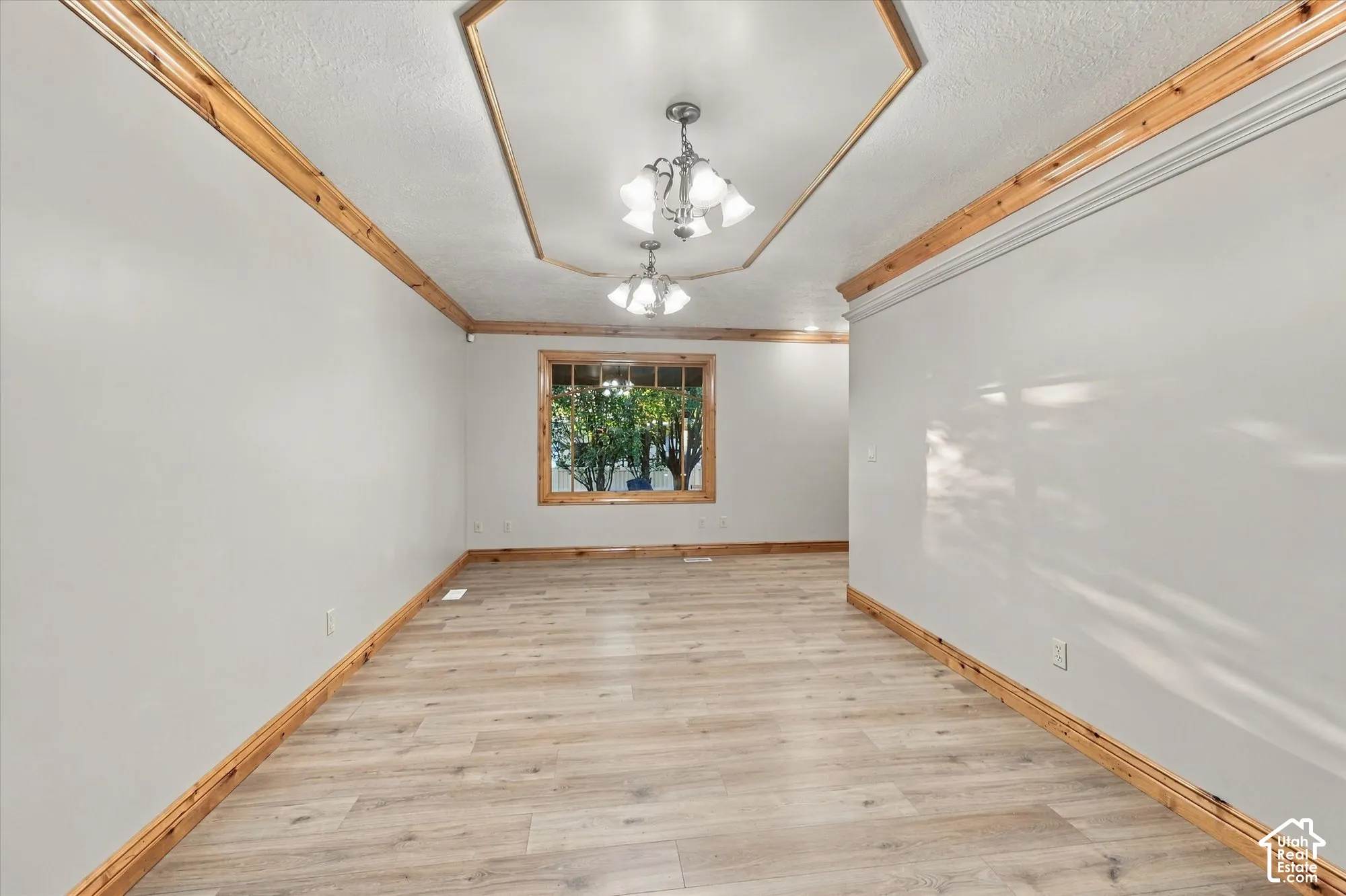 Room featuring wood-finish flooring, tray ceiling with wood-trim detailing, dual multi-light fixtures, and wood-framed window