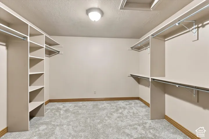 Walk-in closet featuring floor-to-ceiling built-in shelving, multi-level metal hanging rods, flush-mount ceiling lighting, and wall-to-wall carpeting