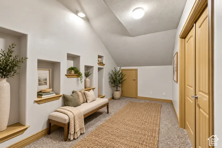 Sloped ceiling featuring recessed wall niches with wood-finished shelving, neutral carpeting, and a multi-panel door with matching wood-tone trim
