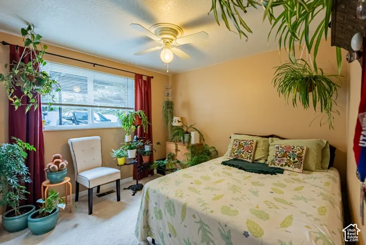 Window with blinds and red drapes, wall-to-wall carpeting, and a ceiling fan