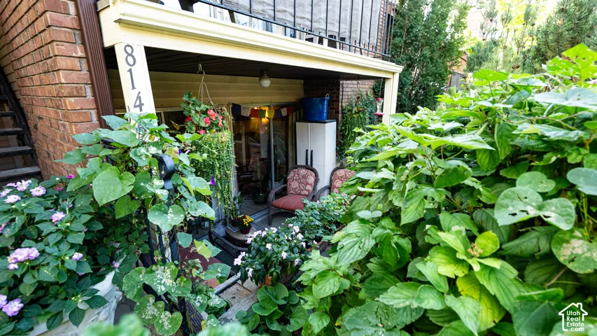 Brick exterior with covered patio, overhead lighting, and mature perimeter landscaping