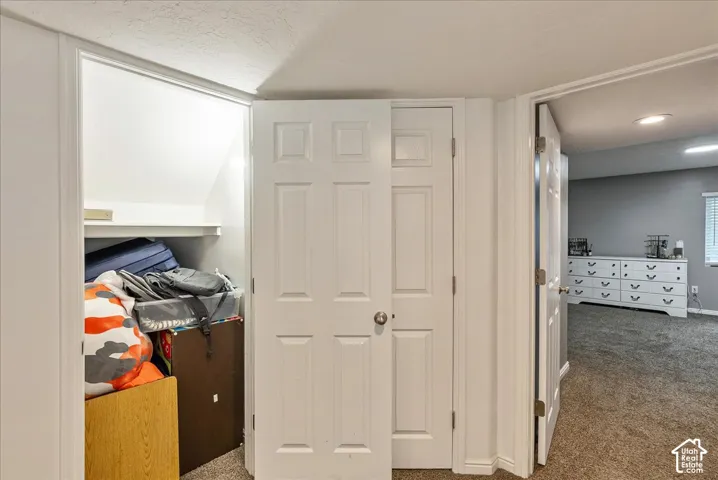 Built-in storage closet featuring shelving and a six-panel door