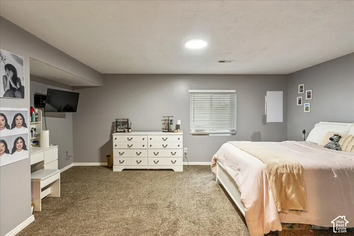 Room featuring textured carpeting, neutral wall paint, and a recessed ceiling light fixture