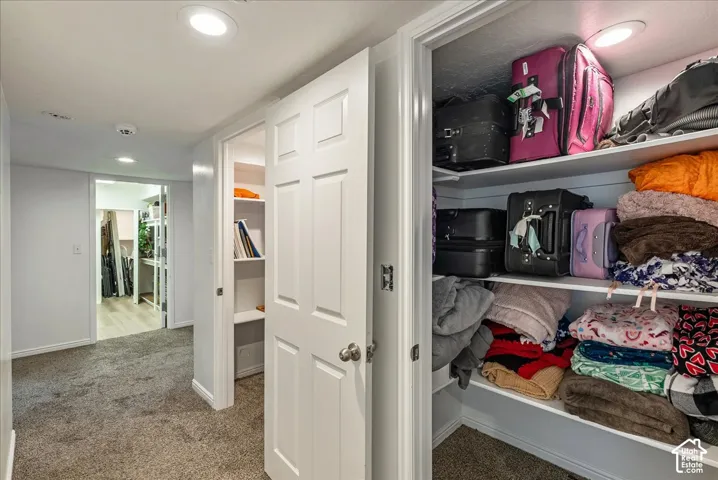 Storage area featuring built-in shelving, recessed lighting, and six-panel interior doors