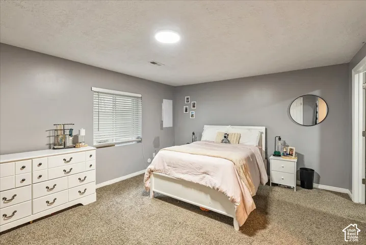 Neutral-toned interior featuring wall-to-wall carpeting, a flush-mount light fixture, and horizontal window blinds