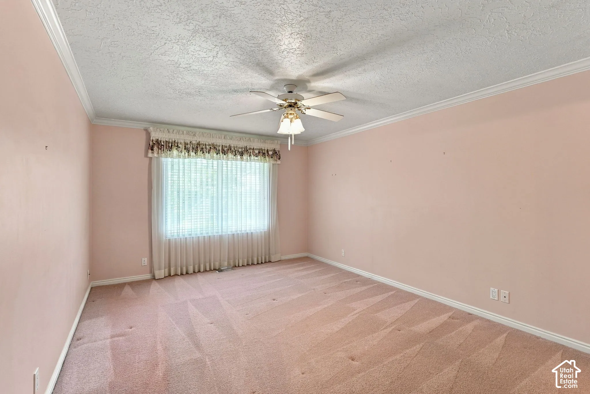 Carpeted room with a ceiling fan, crown molding, and a window with blinds