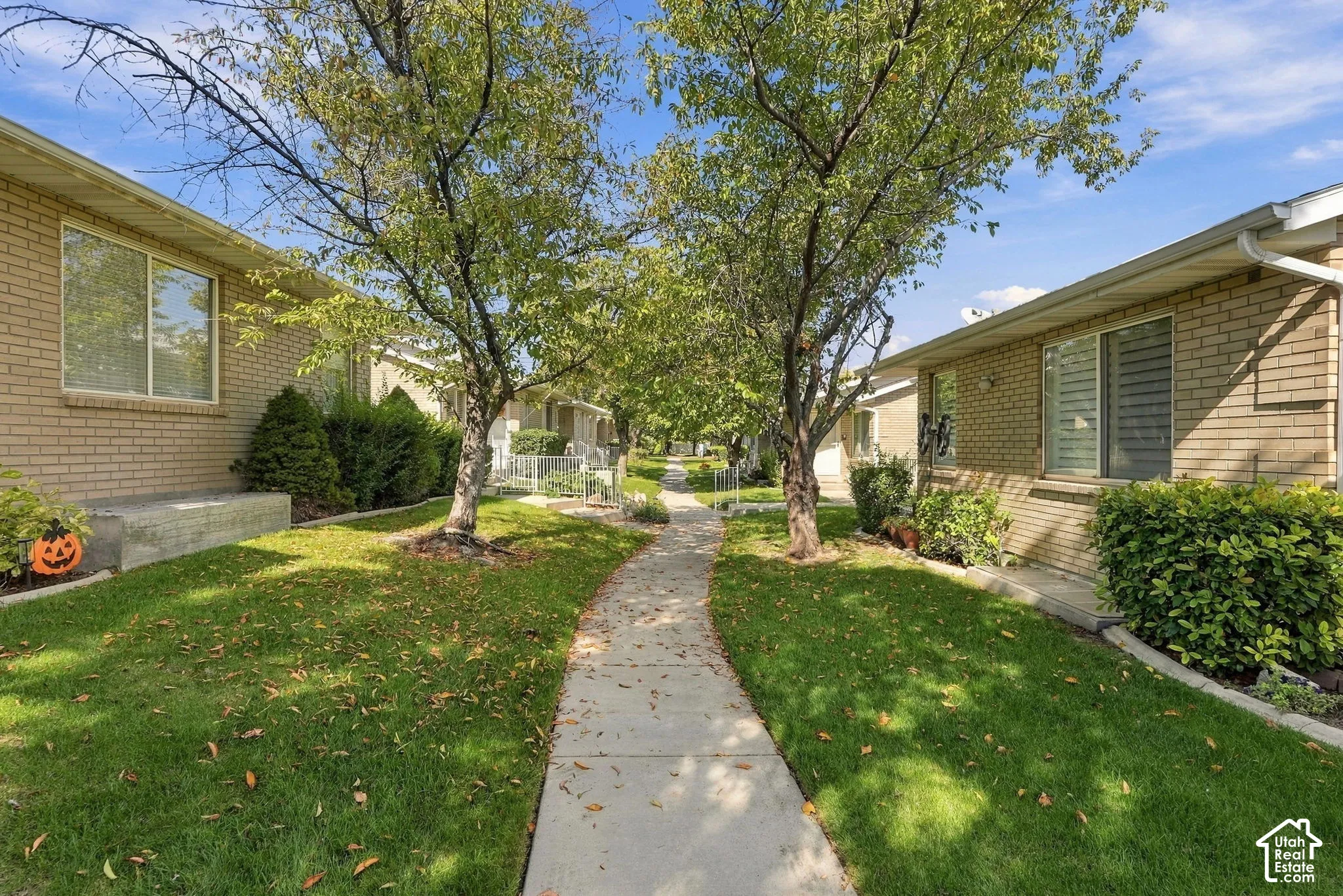 Landscaped walkway with mature trees and established plantings