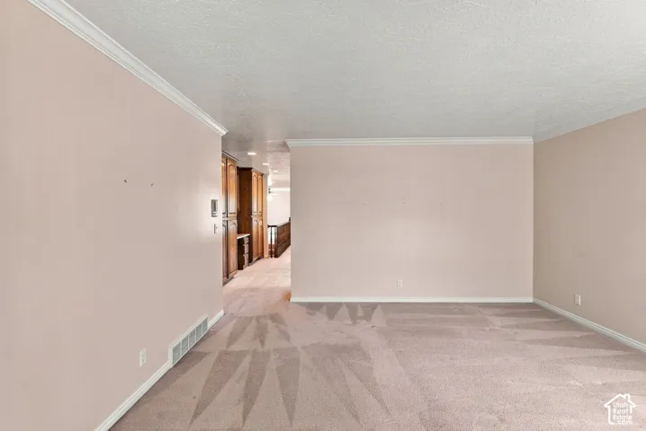 Neutral-toned carpeting throughout with crown molding and baseboards
