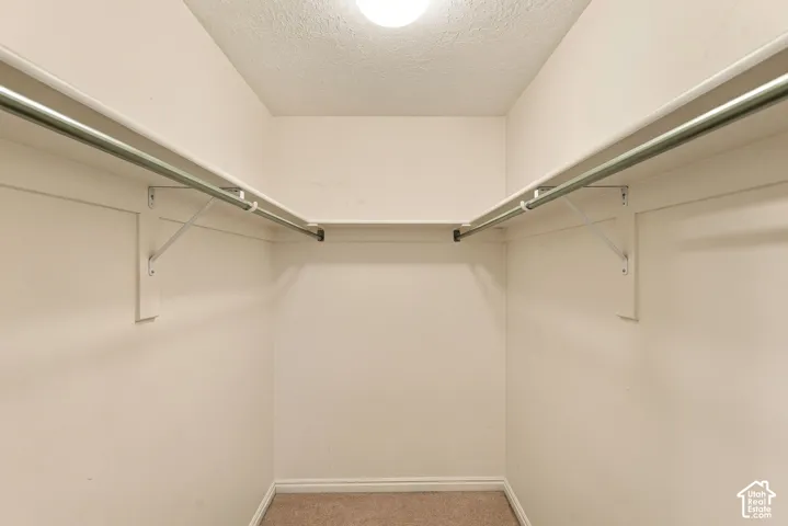 Walk-in closet with integrated shelving, chrome hanging rods, recessed lighting, and carpet flooring