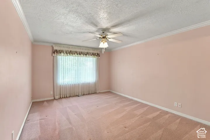 Carpeted room with a ceiling fan, crown molding, and a window with blinds