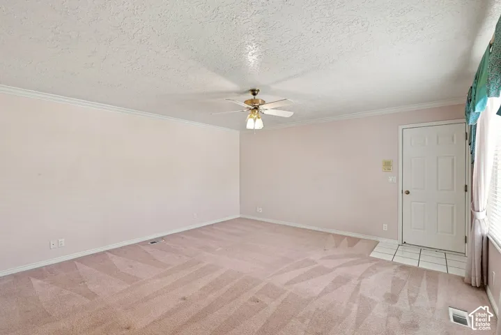 Interior space featuring light pink wall color, white crown molding, and textured ceiling