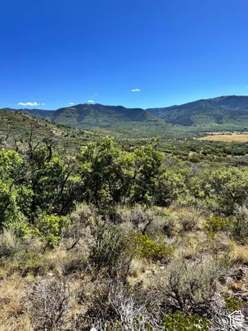 Expansive mountain range, lush green valleys, and natural shrubland