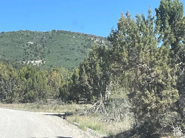 Roadside property with natural landscaping, mature trees, and distant mountainous terrain
