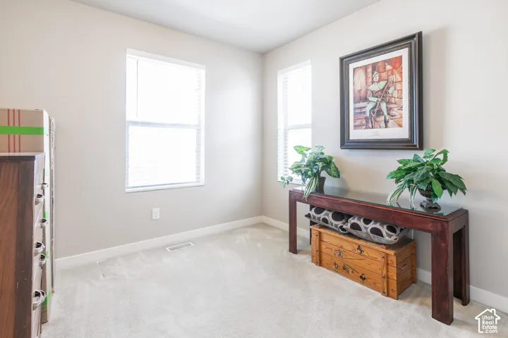 Neutral wall paint throughout, light-toned carpet, and multiple windows providing ambient light