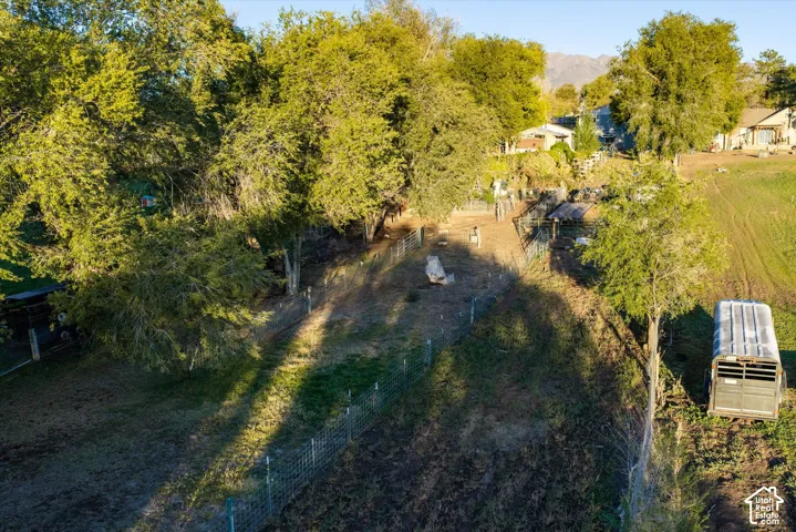 Expansive outdoor space featuring mature shade trees, wire fencing, and mountain backdrop