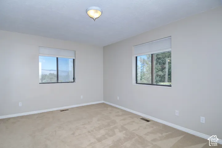 Light-toned carpeted flooring, neutral wall paint, and two windows