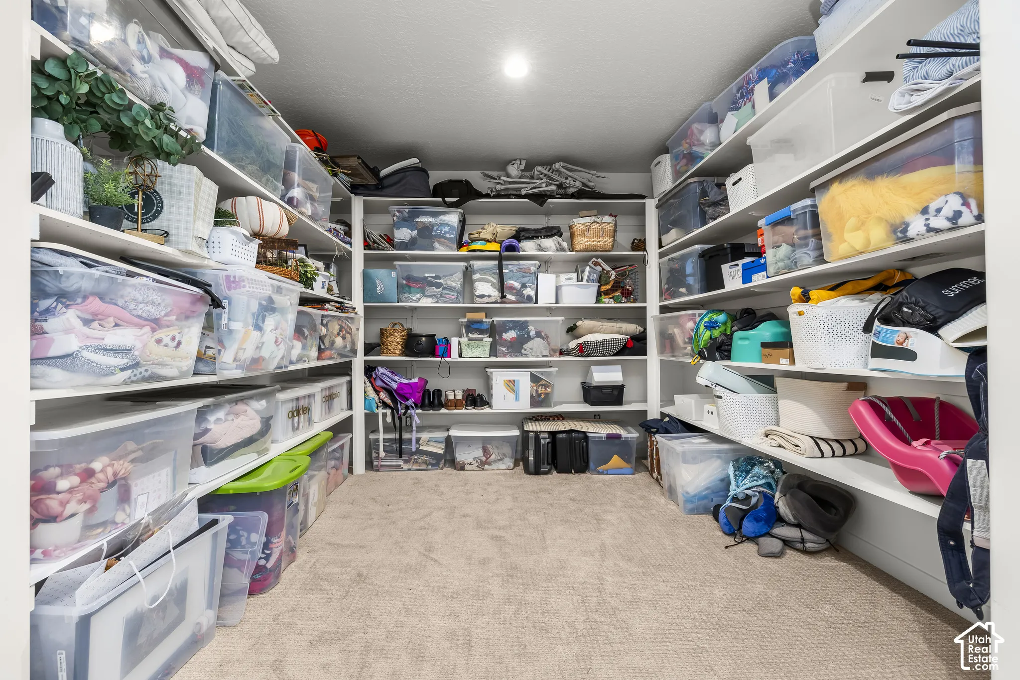 Wall-to-wall carpeting and built-in shelving offer ample storage