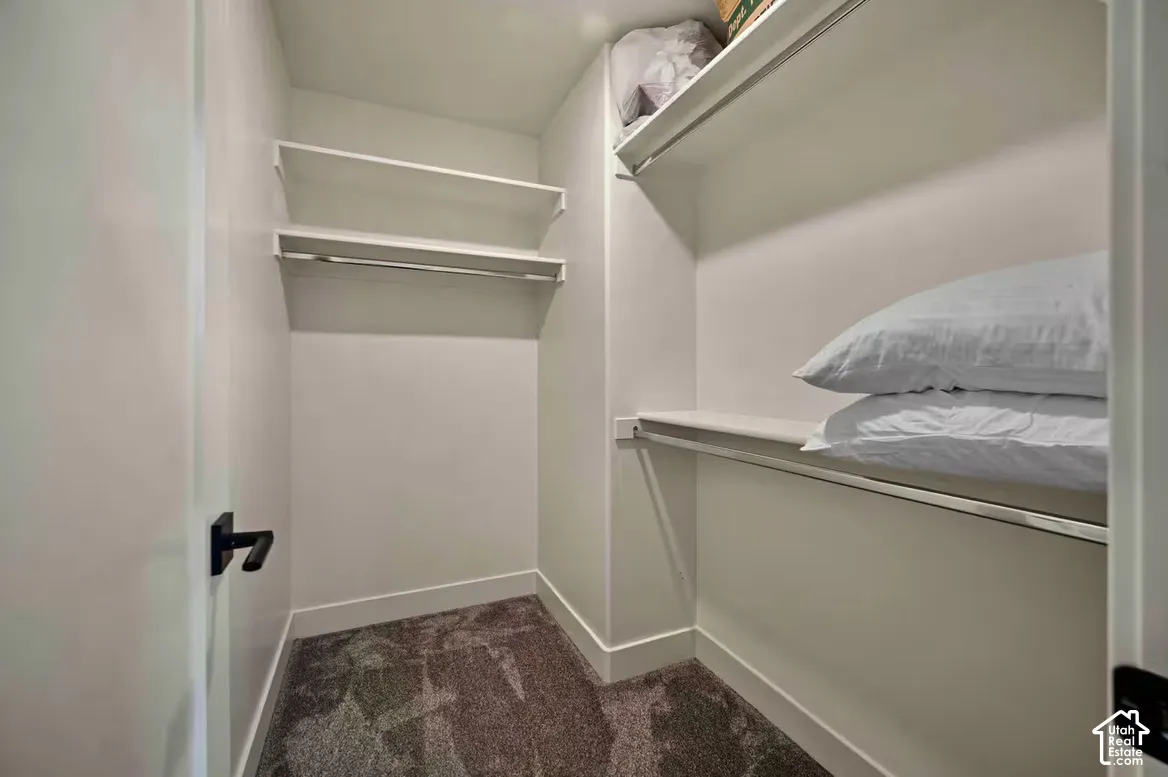 Walk-in closet featuring built-in shelving, hanging rods, and dark carpeting