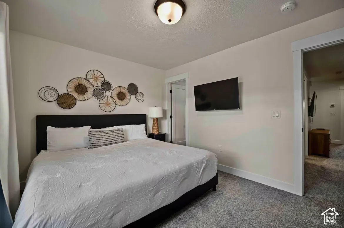 Plush carpeted flooring, neutral wall tones, and a flush-mount ceiling light