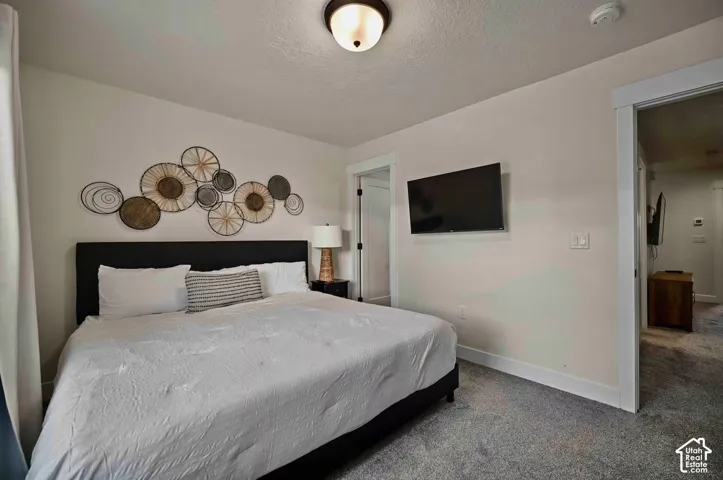 Plush carpeted flooring, neutral wall tones, and a flush-mount ceiling light