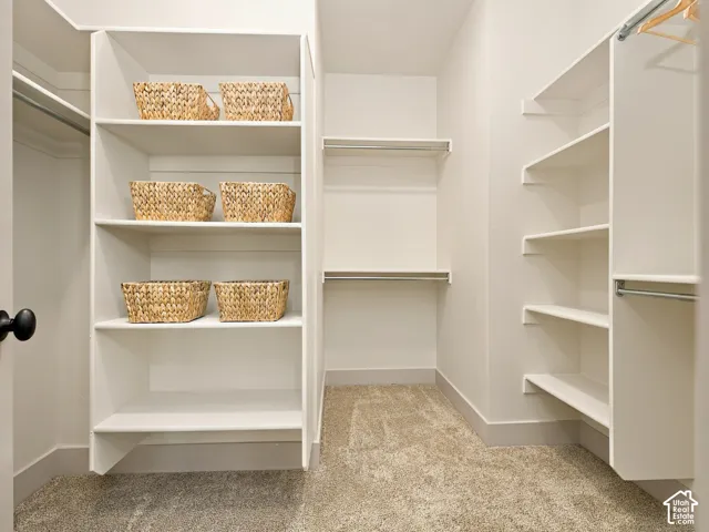 Walk-in closet with carpet flooring, built-in shelving, and clothes hanging rods