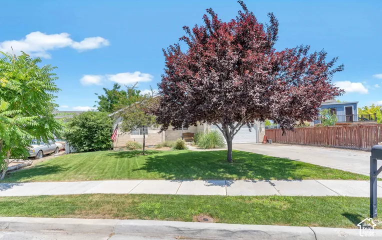 Manicured front lawn with mature trees, paved driveway, and concrete sidewalk
