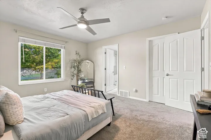 Spacious primary bedroom featuring large windows with natural light, ceiling fan, carpeted flooring, and direct access to an ensuite bathroom