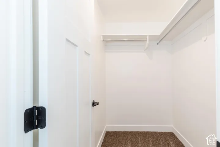 White paneled door with black hardware, white walls, built-in shelving, and carpet flooring