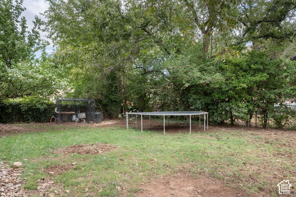 Expansive backyard with a mix of grass and natural ground cover, mature trees providing canopy, and established perimeter foliage