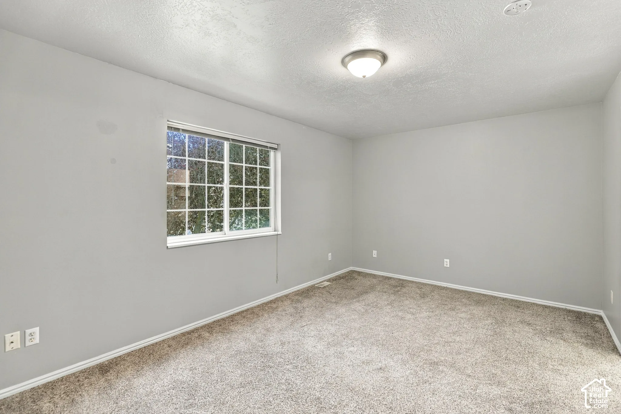 Bright, light-filled bedroom with expansive window featuring multiple panes, neutral wall finishes, and soft carpet flooring throughout