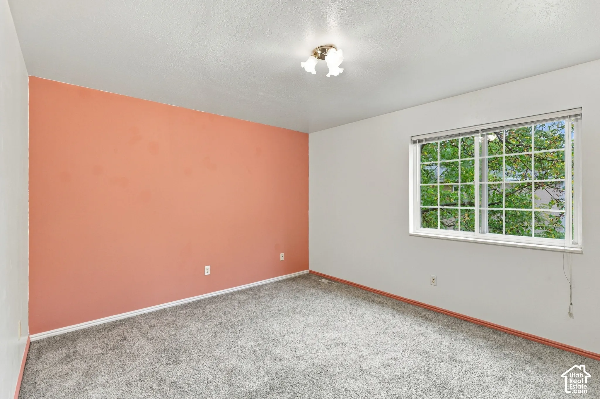 Neutral paint palette, textured carpeting, and a multi-pane window
