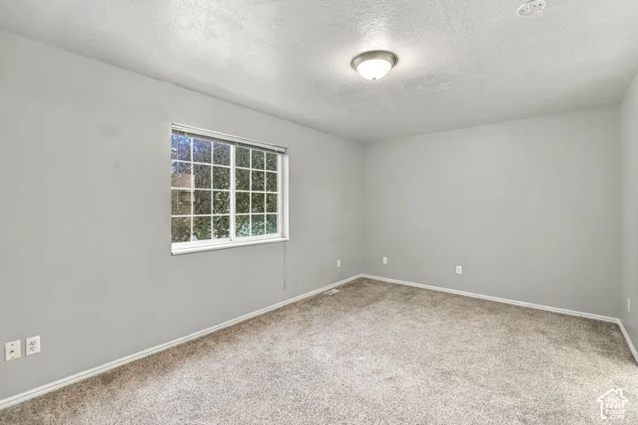 Bright, light-filled bedroom with expansive window featuring multiple panes, neutral wall finishes, and soft carpet flooring throughout