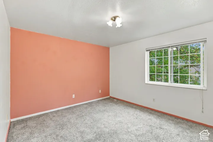 Neutral paint palette, textured carpeting, and a multi-pane window